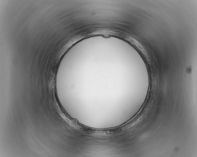 X0000089901049200707262246