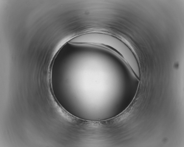 X0000089901050200707262246