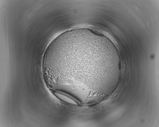 X0000089901055200707262246