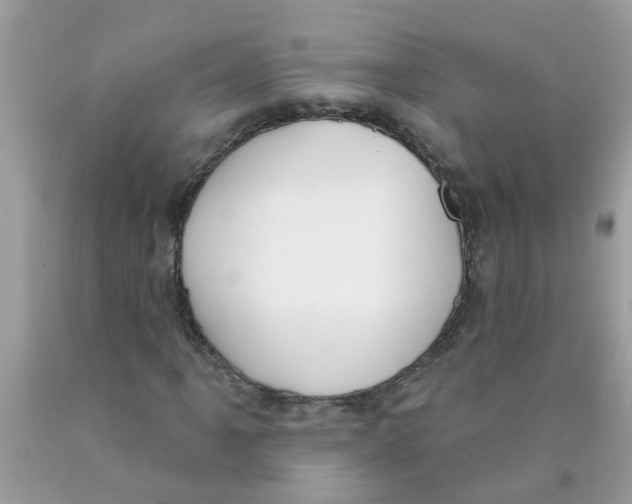 X0000089901061200707262246