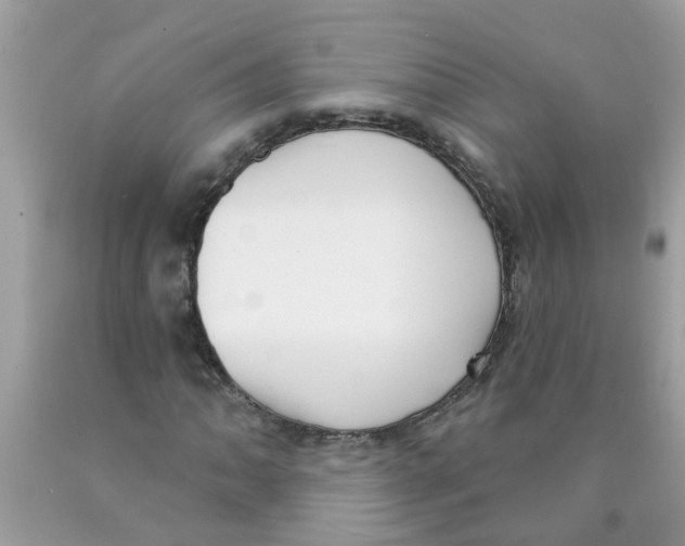 X0000089901062200707262246