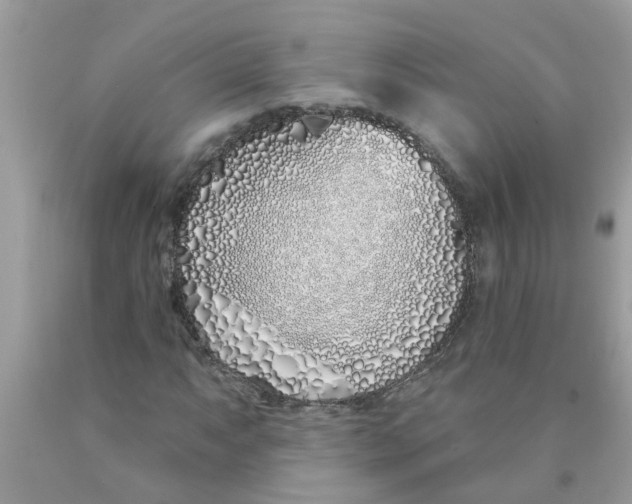 X0000089901063200707262246
