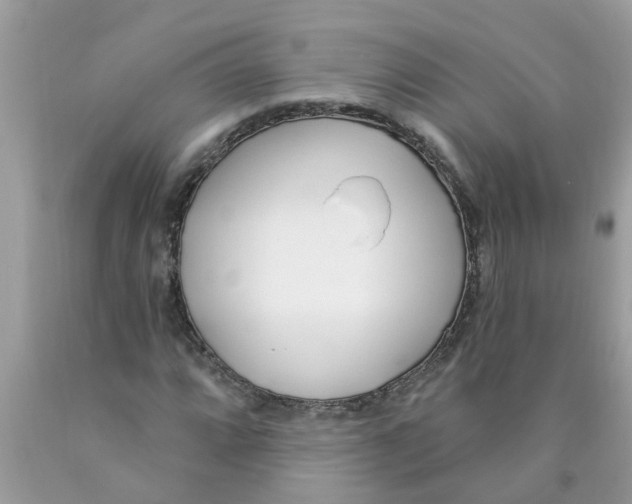 X0000089901064200707262246