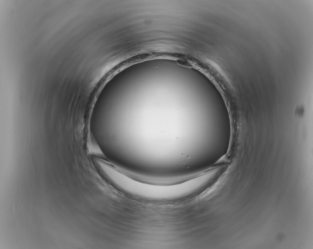 X0000089901065200707262246