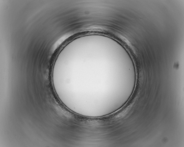X0000089901066200707262246