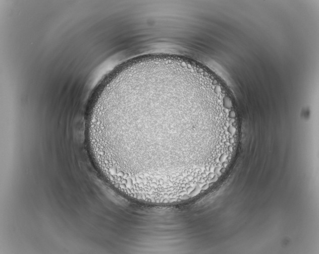 X0000089901067200707262246