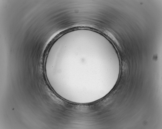 X0000089901068200707262246