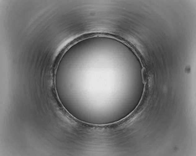 X0000089901069200707262246