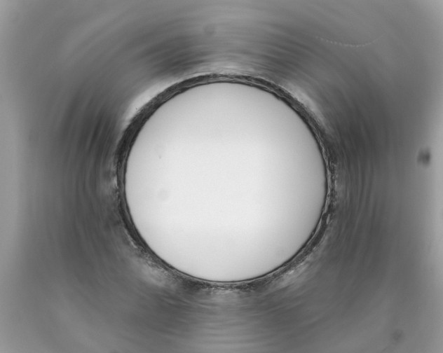 X0000089901070200707262246