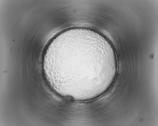 X0000089901071200707262246
