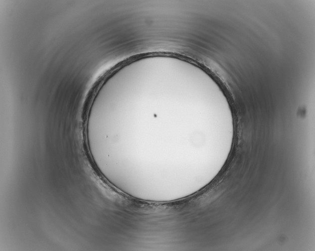 X0000089901072200707262246