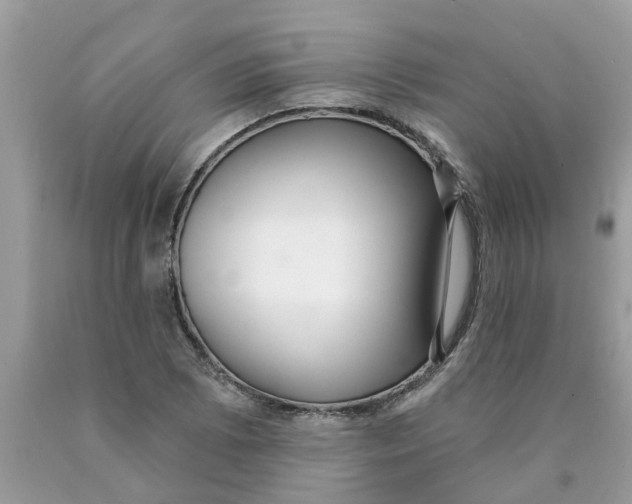 X0000089901073200707262246