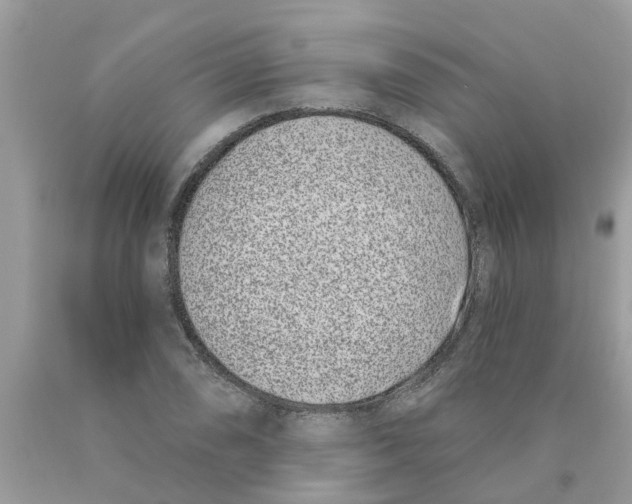 X0000089901074200707262246