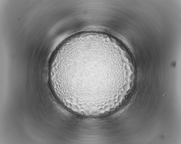 X0000089901075200707262246