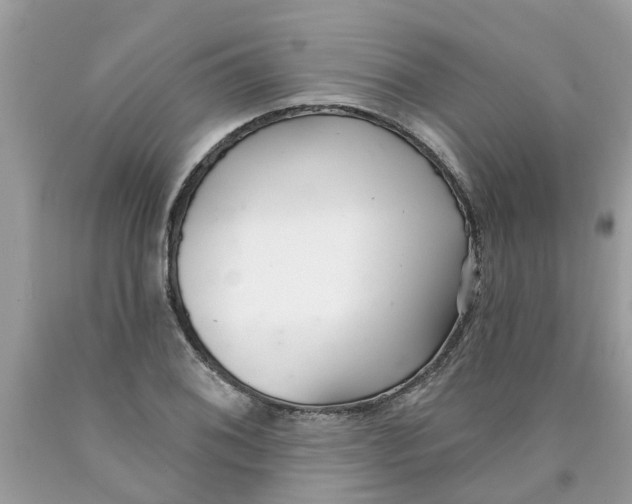 X0000089901076200707262246