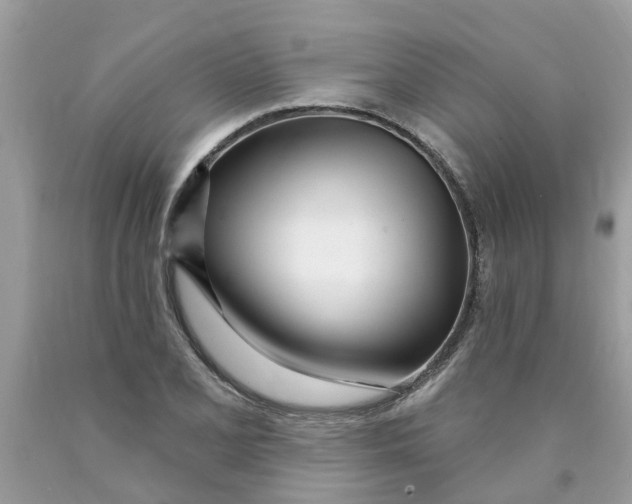 X0000089901077200707262246