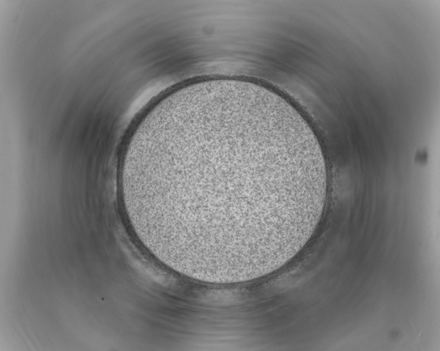 X0000089901078200707262246