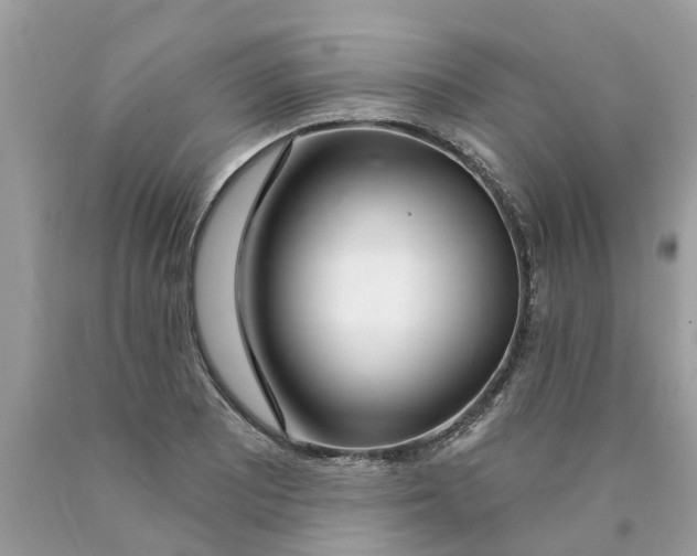 X0000089901081200707262246