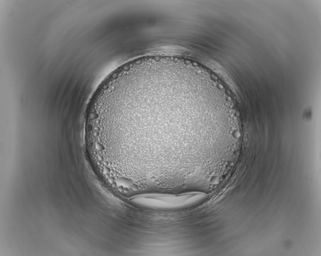 X0000089901083200707262246