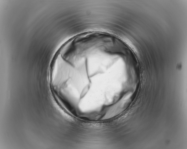 X0000089901084200707262246