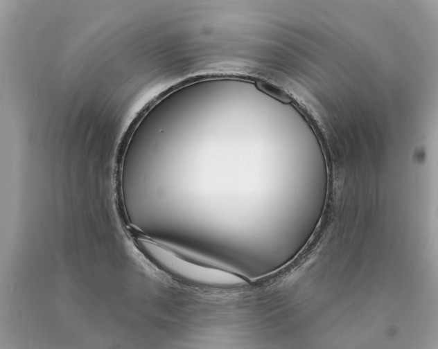 X0000089901085200707262245