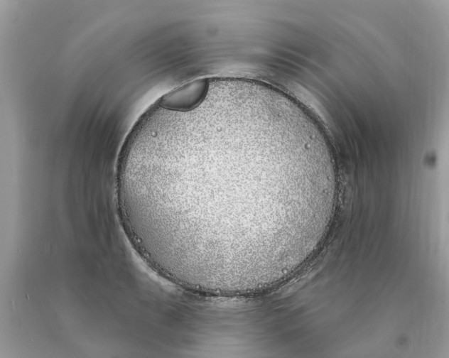 X0000089901087200707262245