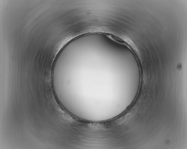 X0000089901089200707262245