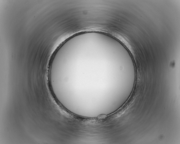 X0000089901093200707262245