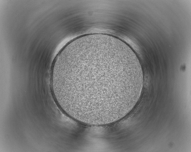 X0000089901094200707262245