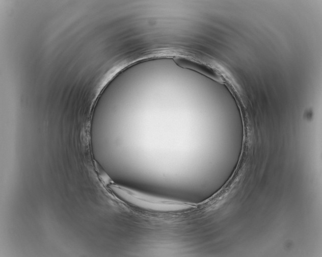 X0000089901097200707262245