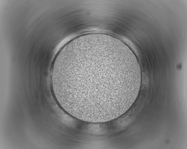 X0000089901098200707262245