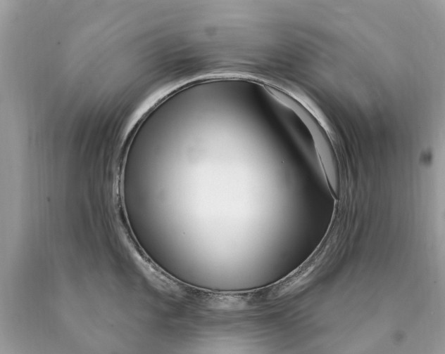 X0000089901101200707262245