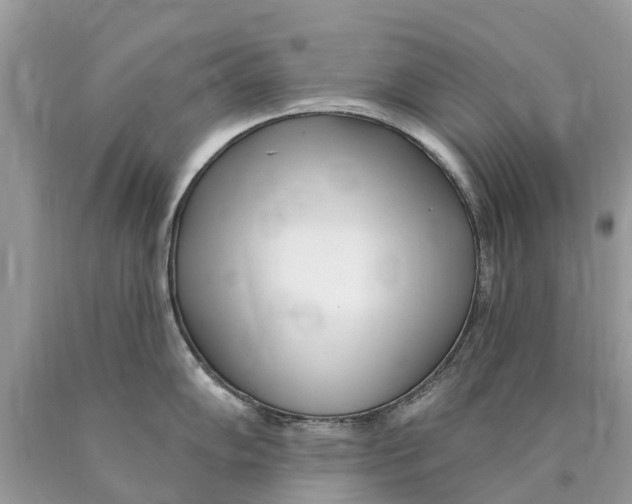 X0000089901102200707262245