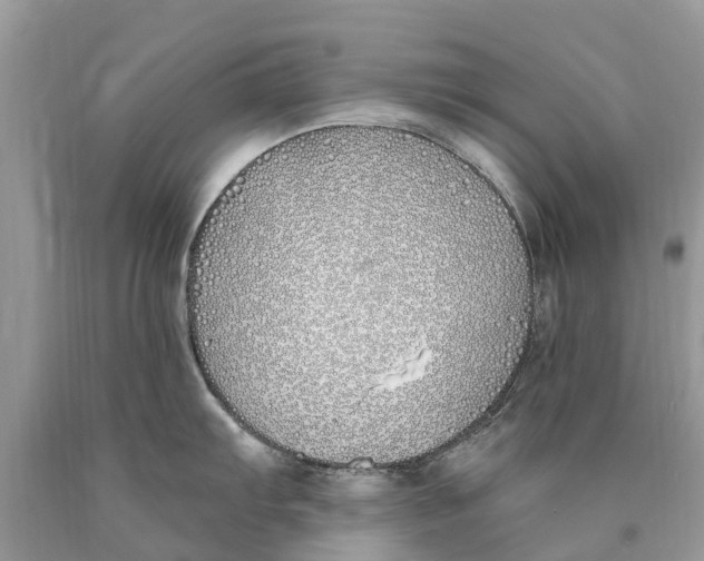 X0000089901103200707262245