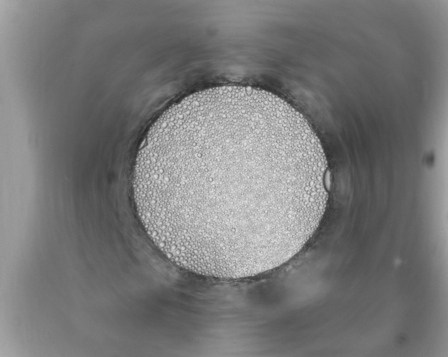 X0000089901105200707262245
