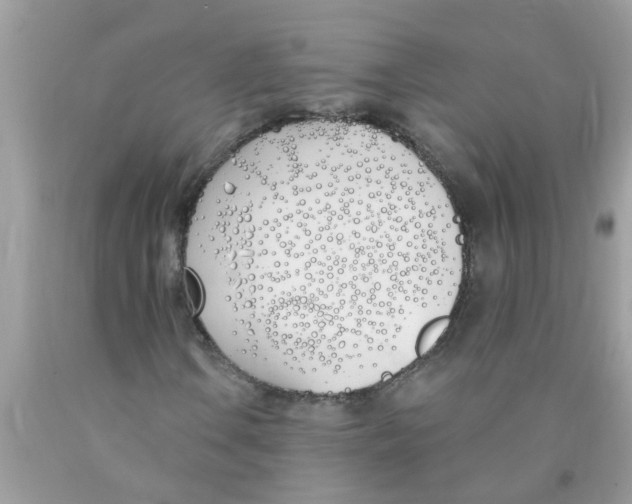 X0000089901106200707262245
