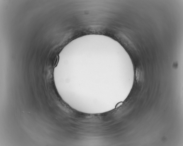 X0000089901107200707262245