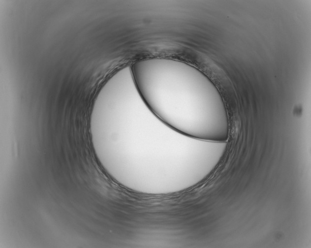 X0000089901108200707262245