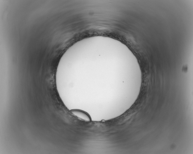 X0000089901109200707262245