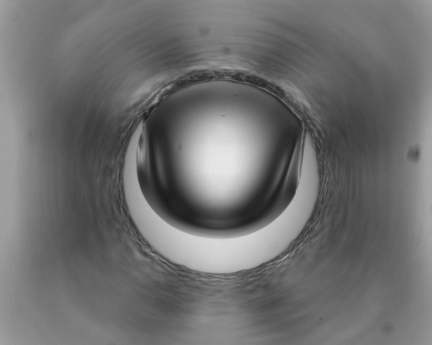 X0000089901110200707262245