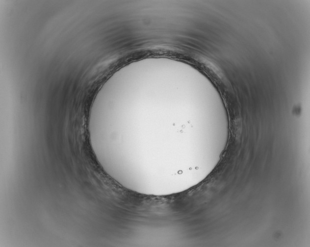 X0000089901111200707262245