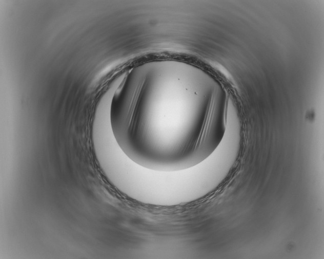 X0000089901112200707262245