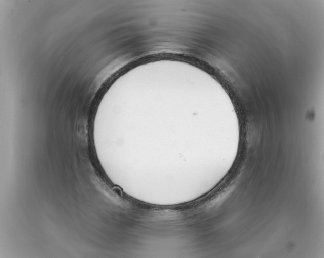 X0000089901113200707262245