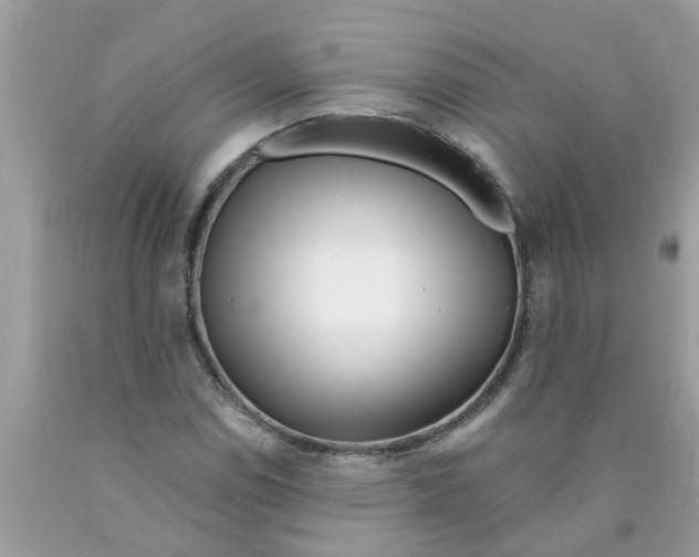 X0000089901114200707262245