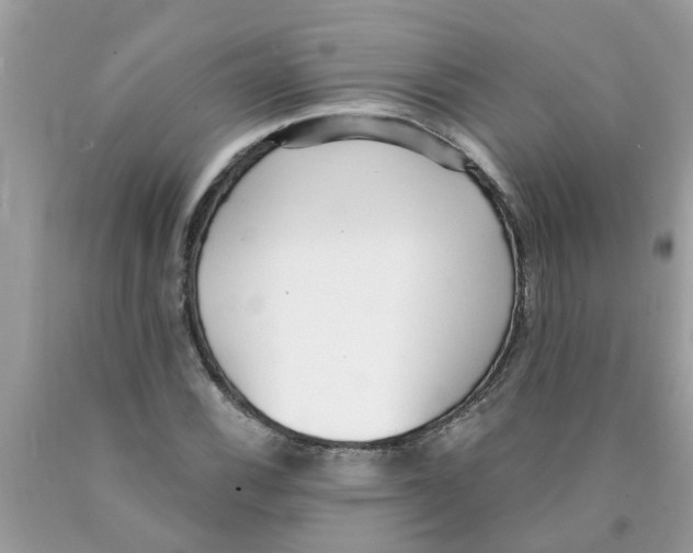 X0000089901116200707262245