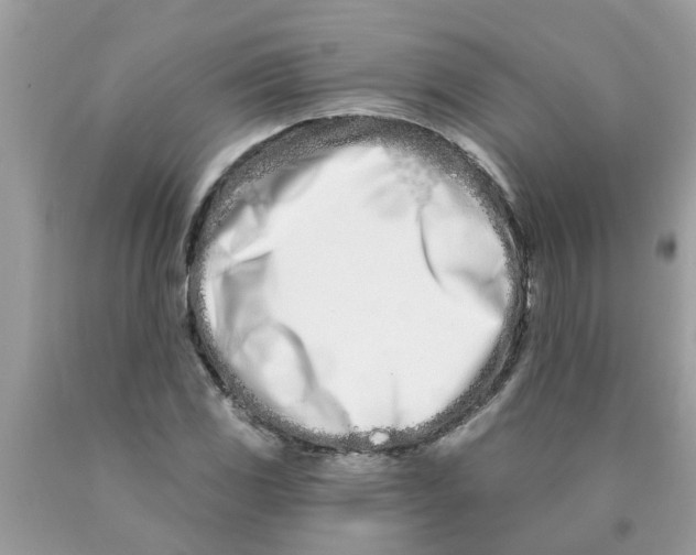 X0000089901117200707262245