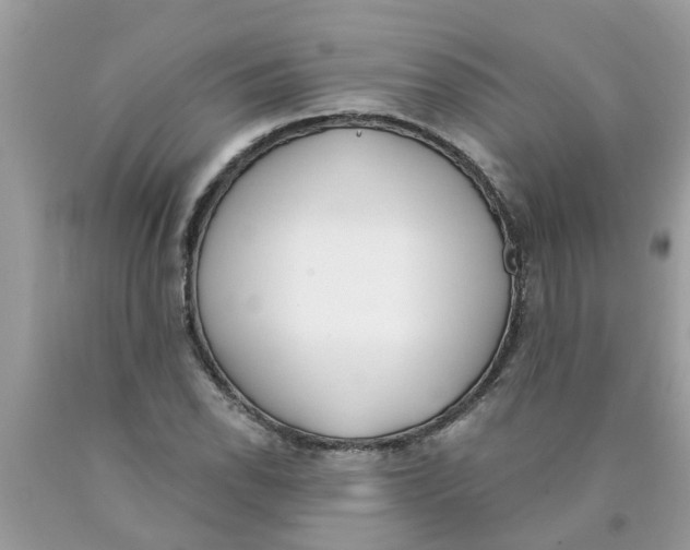 X0000089901118200707262245