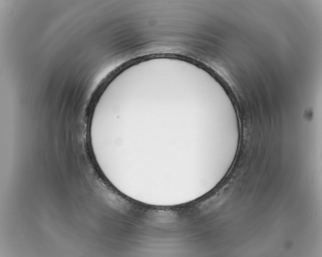 X0000089901119200707262245