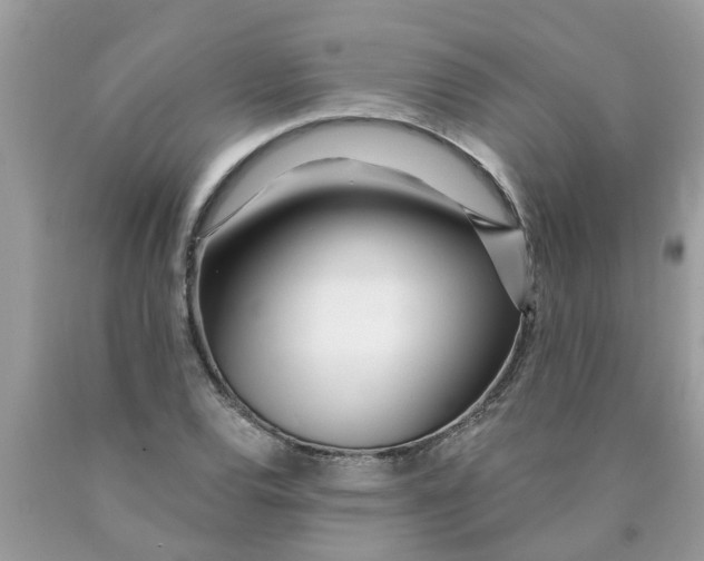 X0000089901120200707262245