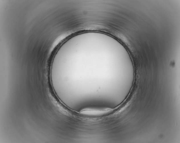 X0000089901122200707262245